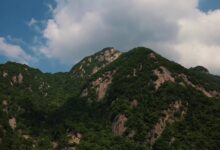 累了?我来治愈你吧 - 小安听说