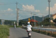 在路上抬头向上望 - 小安听说