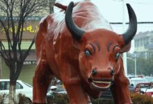 忐忑不安的人间繁华 - 小安听说