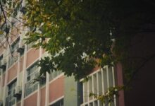 当春天赋有秋的味道 - 小安听说