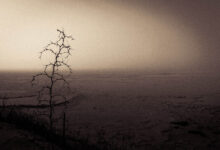 遗失之殇 - 小安听说