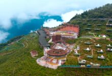 看起来好玩 - 小安听说