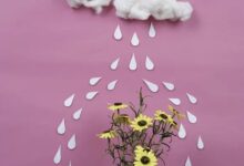 碎 片 - 小安听说