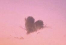 温柔的心 - 小安听说