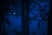 夜 - 小安听说