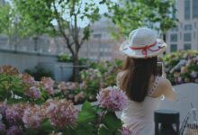 治愈夏天 - 小安听说