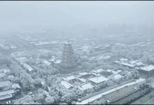 第一场雪 - 小安听说