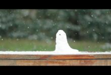 雪天的幸福 - 小安听说