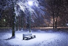 在雪中 - 小安听说