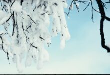 雪 山 - 小安听说